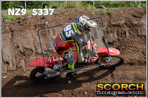 Experts-142