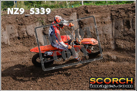 Experts-144