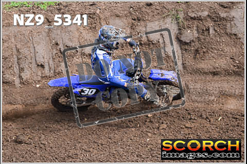 Experts-146