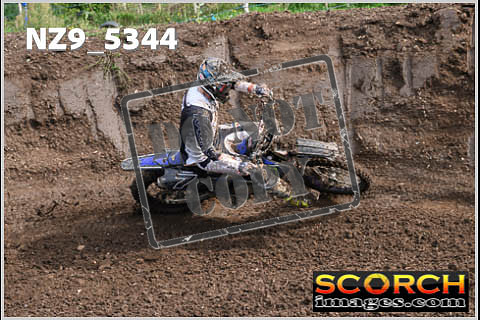 Experts-149