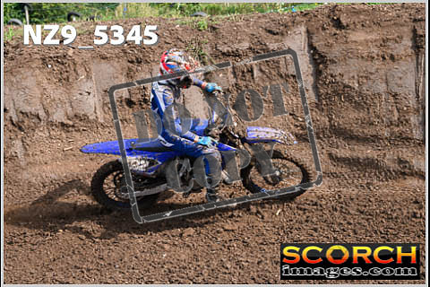 Experts-150