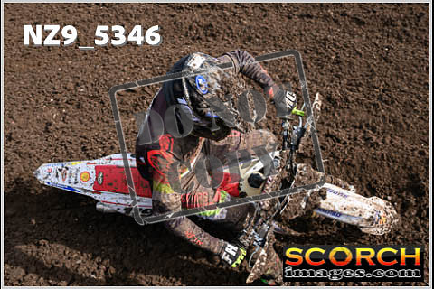Experts-151