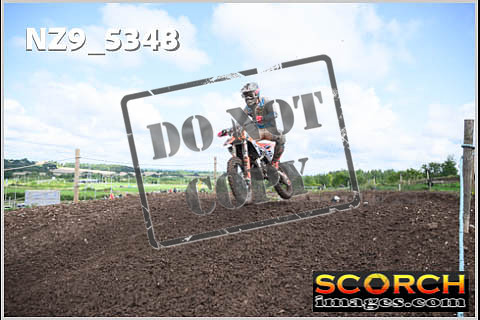 Experts-153