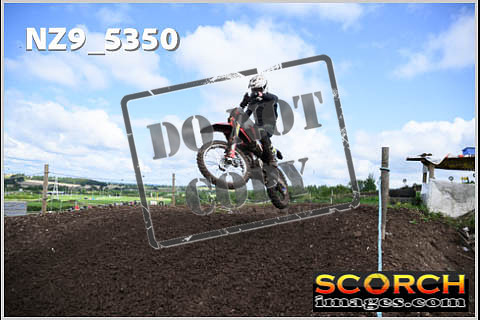 Experts-155