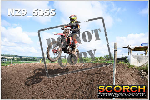 Experts-160