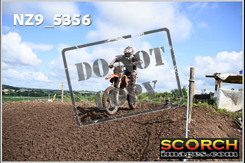 Experts-161