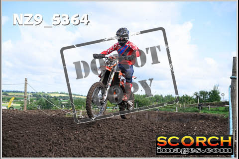 Experts-169