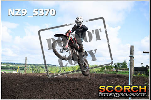 Experts-175