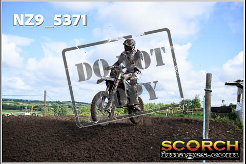 Experts-176