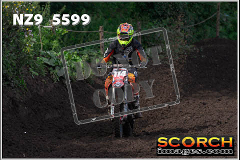 Experts-183