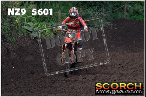 Experts-185