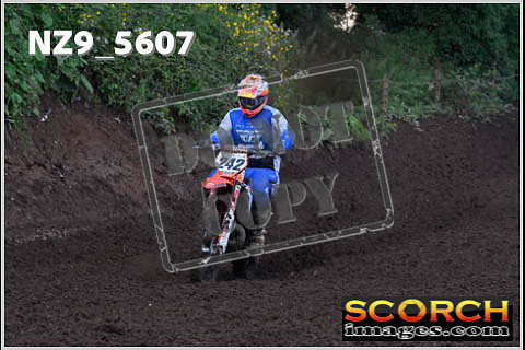 Experts-191