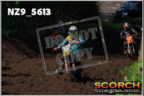 Experts-196