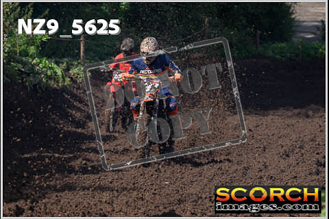 Experts-206