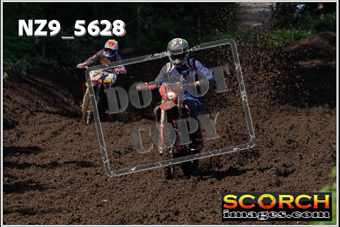 Experts-209