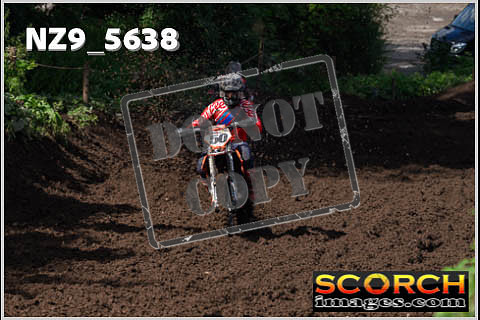 Experts-219