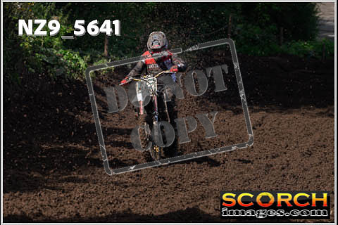 Experts-222