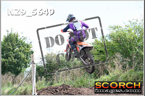 Experts-229