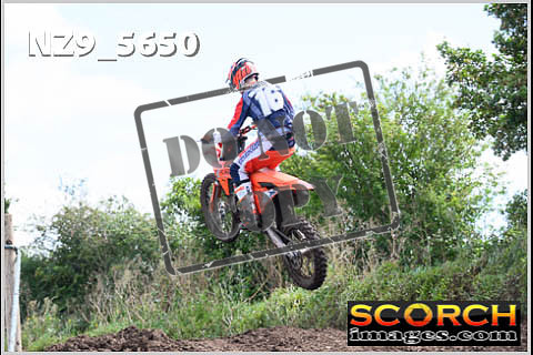 Experts-230