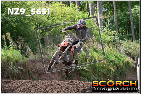 Experts-231