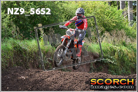 Experts-232