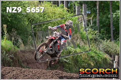 Experts-237