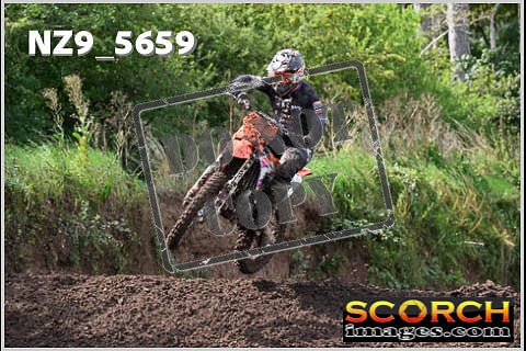 Experts-239
