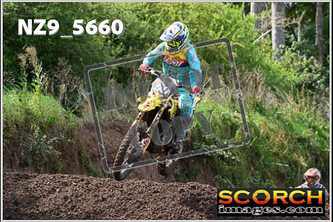 Experts-240