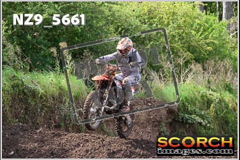 Experts-241