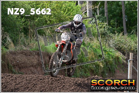Experts-242