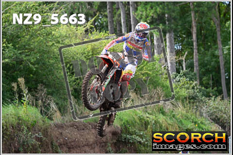 Experts-243
