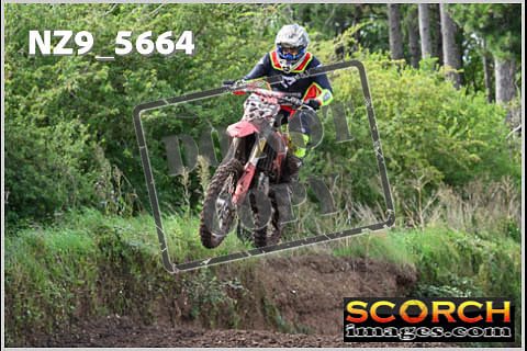 Experts-244