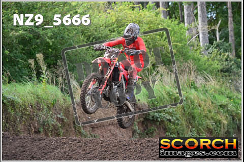 Experts-246