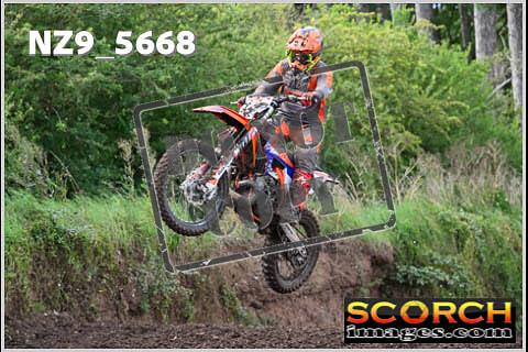 Experts-248