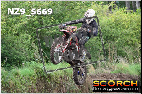 Experts-249