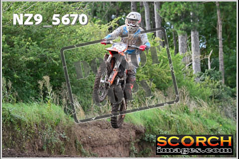 Experts-250
