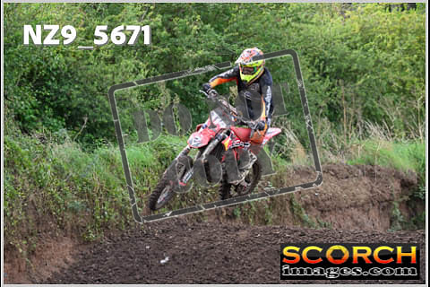 Experts-251