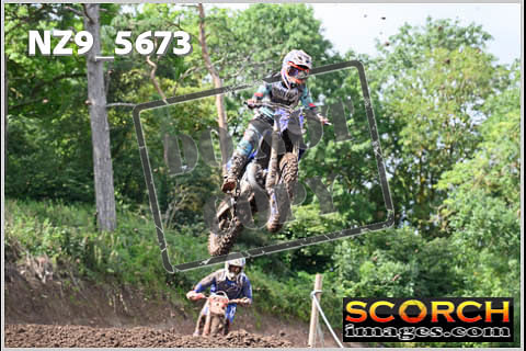 Experts-252