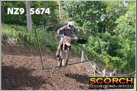 Experts-253