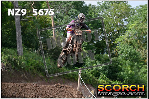 Experts-254