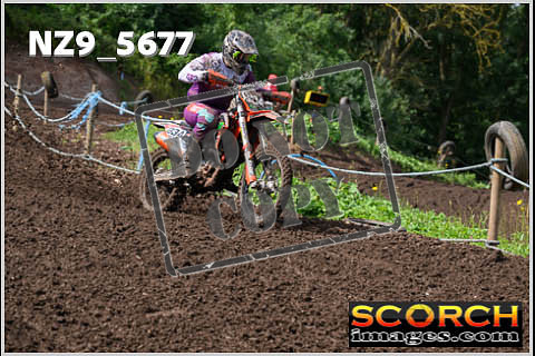 Experts-256