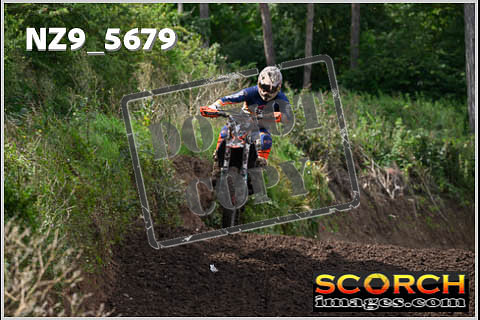 Experts-257