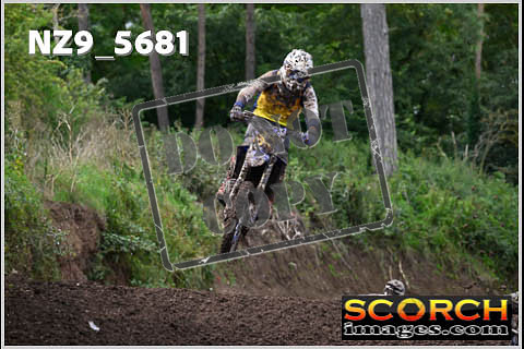 Experts-259