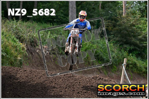 Experts-260