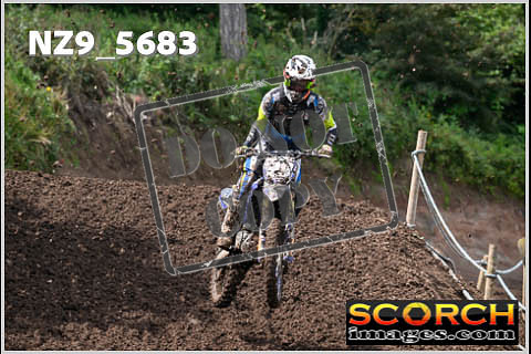 Experts-261
