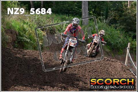 Experts-262
