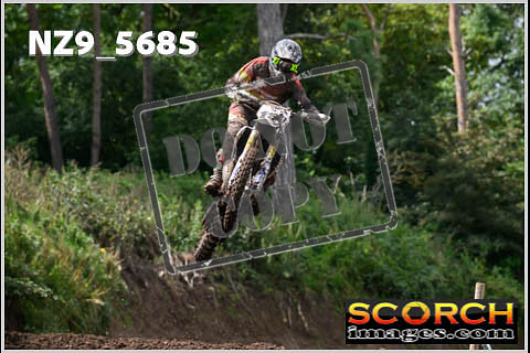 Experts-263