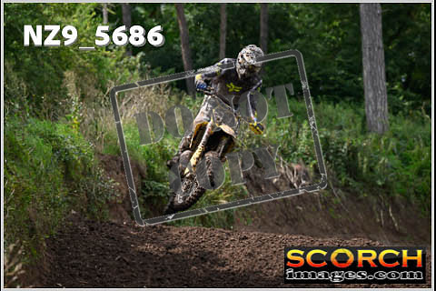 Experts-264
