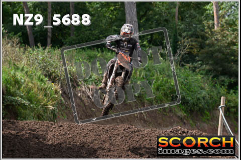 Experts-265