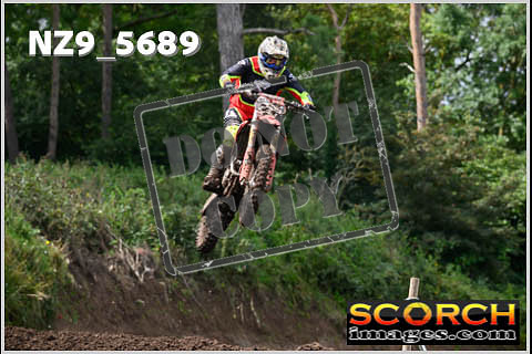 Experts-266